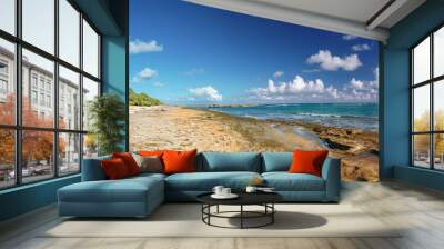 A sunny day at the Oahu turtle beach bay with nature sand and rough lava rock north shore coastline Wall mural