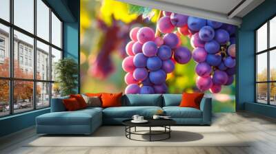 fresh grapes hanging on the vine Wall mural