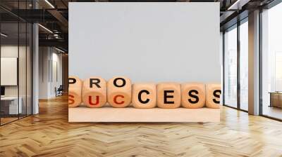 process and success printed on wooden cubes Wall mural