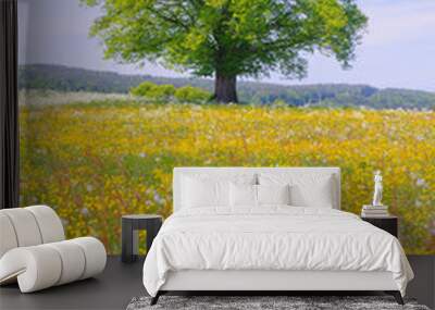 single linden tree in meadow at spring Wall mural