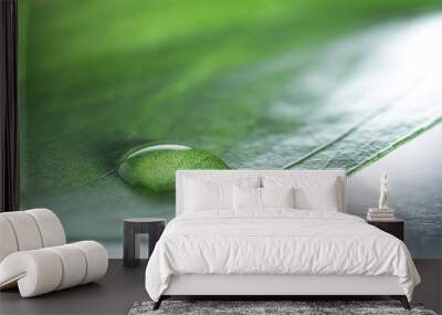 green concept with a single water drop Wall mural