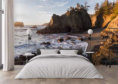 secret beach, oregon Wall mural