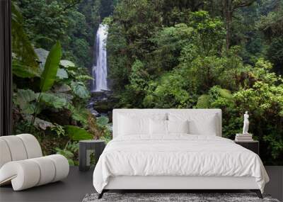 waterfall in Costa Rica Wall mural