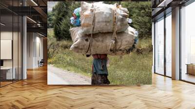 A woman in Ethiopia carries a massive load on her back. Wall mural