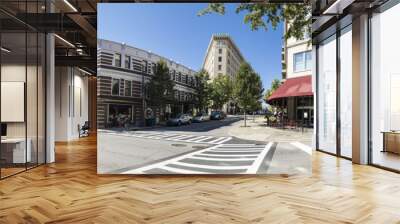 panorama of downtown Asheville, North Carolina Wall mural