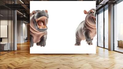 Four happy hippos on white isolated background. Wall mural