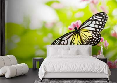 butterfly feeding on a flower Wall mural