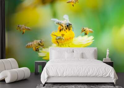 Group of bees on a flower Wall mural