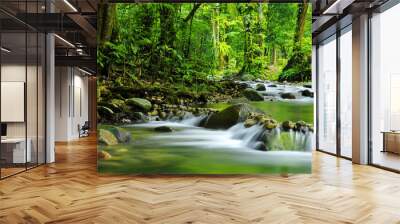 Mountain stream Wall mural