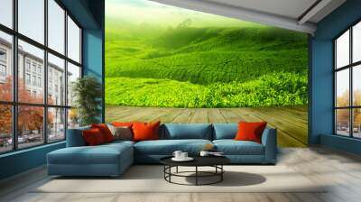 Tea field Wall mural