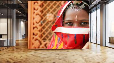 Traditional Indian woman Wall mural