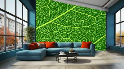 vector leaves macro texture Wall mural