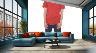 chinese male in casual attire full body Wall mural