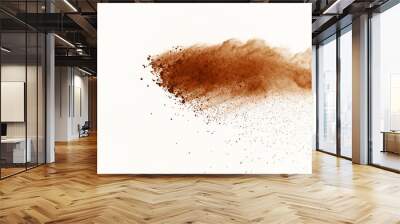 Dry soil explosion isolated on white background. Wall mural