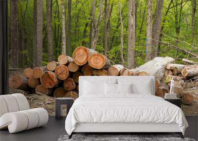 A pile of cut timber stacked up in a field in Warren County, Pennsylvania, USA on a spring day Wall mural