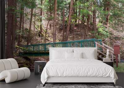 Wooden steps leading to a weathered, metal bridge in the woods in Warren County, Pennsylvania, USA Wall mural