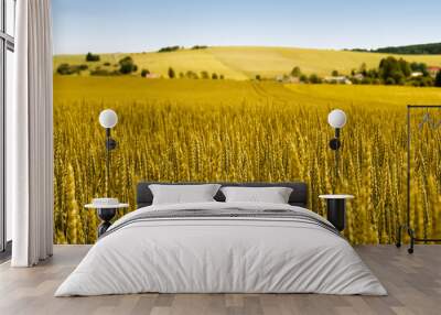 Gold wheat field and countryside scenery Wall mural