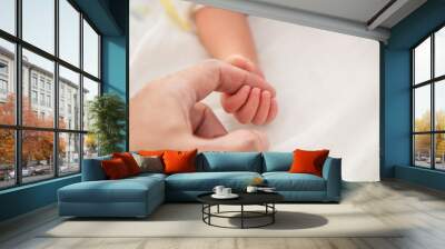 baby hand holding adult finger Wall mural