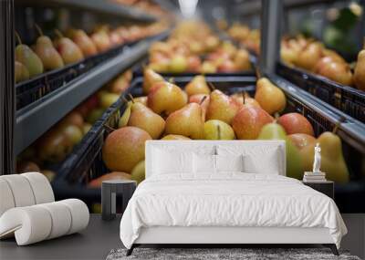 Fresh pears are neatly arranged in baskets, showcasing their vibrant colors and textures in well organized storage area. scene evokes sense of abundance and quality Wall mural