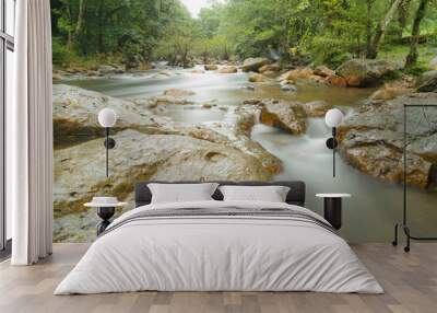 Rainforest and water stream between the stones. Wall mural