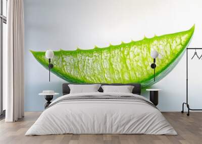 aloe vera leaf Wall mural