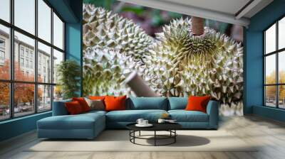 Durian that farmers in Thailand have harvested and put out for sale, ready to sell. Wall mural