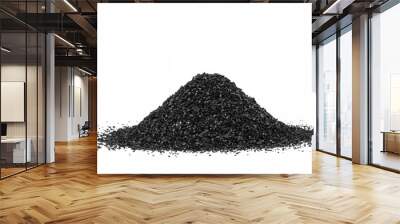 Activated Carbon in the water filter isolated on white background. Activated Carbon. Wall mural