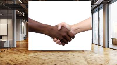 African and American shaking hands isolated on white background with clipping path Wall mural