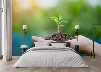 Close up image of human hands holding sprout Wall mural