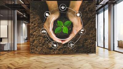 Hands holding seedlings, Modern agriculture with technology concept Wall mural