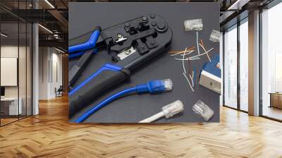 Lan cable crimpers, with Lan cable placed on the side and female socket head socket in a black background Wall mural