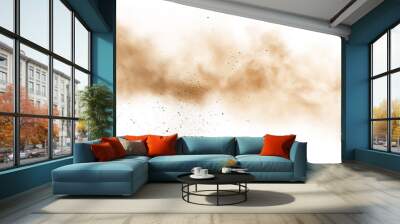 Dry soil explosion isolated on white background.Abstract dust explosion on white background. Wall mural