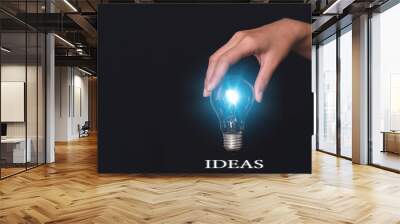 Hand holding a light bulb. Concept concept with innovation and inspiration. Wall mural