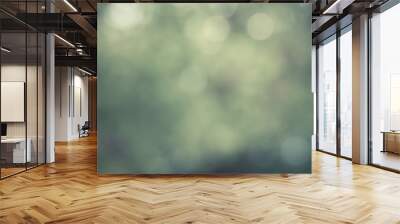 Soft bokeh light  background Wall mural