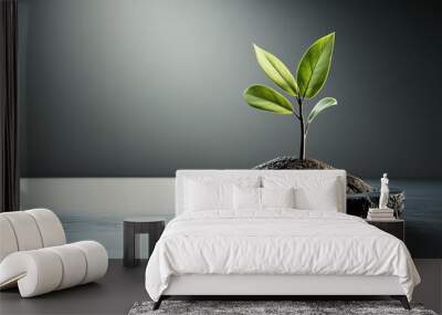 Fresh Green Sprout Growing in Stylish Dark Background Wall mural