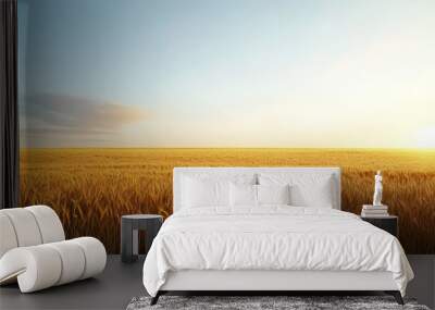 Golden Wheat Field Under Clear Blue Sky at Sunset Wall mural