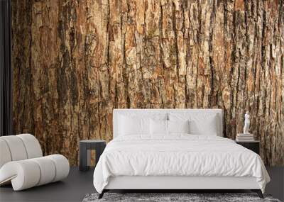 Bark pattern is seamless texture from tree. For background work Wall mural