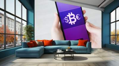 Mobile bitcoin wallet payment. Cryptocurrency digital money concept on virtual screen. Wall mural