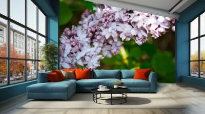 Branch of blossoming lilac Wall mural