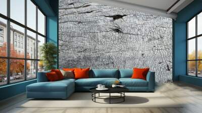 Black and white wood texture Wall mural