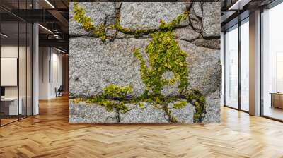 stone wall with grass Wall mural