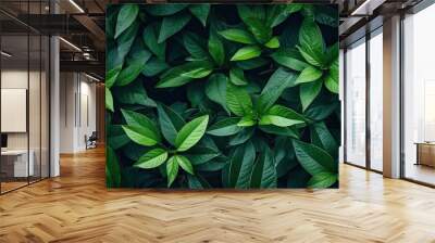 close up of fresh and vibrant leaves in summer garden. bright and organic background showcases beaut Wall mural