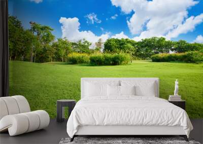 Green lawn with blue sky in park Wall mural