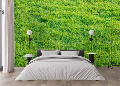  green grass pattern from golf course at sunset tim Wall mural