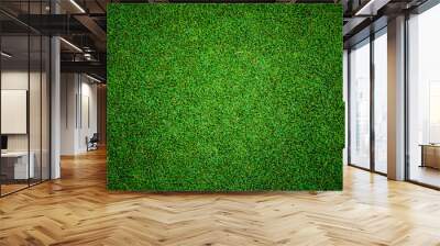 Beautiful green grass pattern from golf course Wall mural