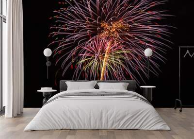 Fireworks in the night Wall mural