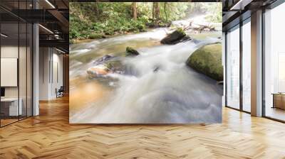 Water flows on streams in the forest. Wall mural