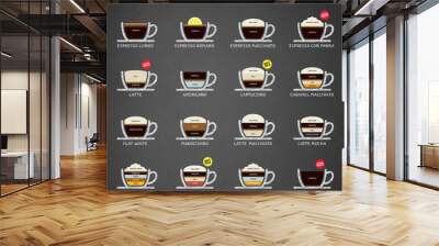 Hot Coffee drinks recipes icons set. Wall mural