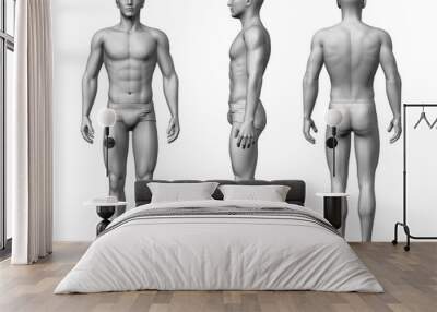 male body Wall mural