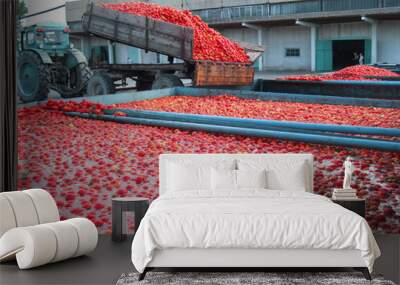 Tomato processing Wall mural